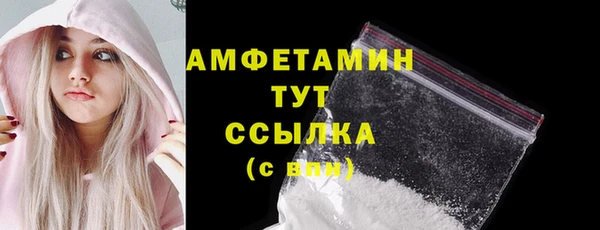 прущий лед Богданович