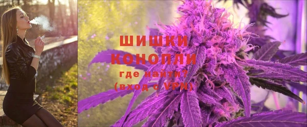 дурь Белокуриха