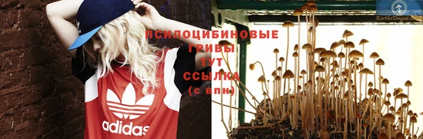 дурь Белокуриха