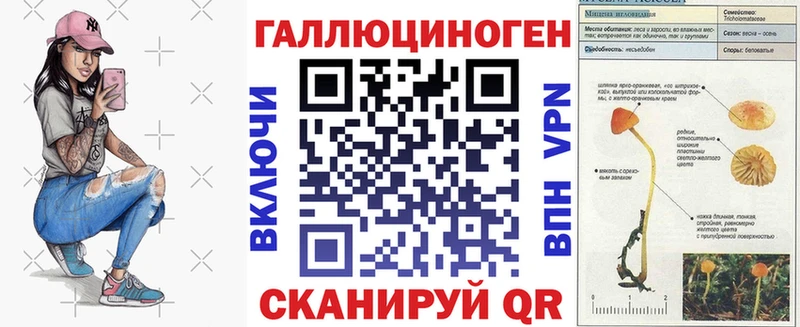 Галлюциногенные грибы мухоморы Чернушка