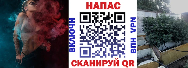 Шишки марихуана марихуана  Купить закладки  Чернушка 